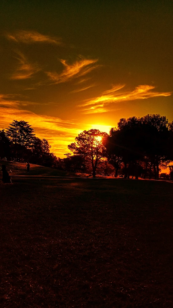 GIF subido por Erik