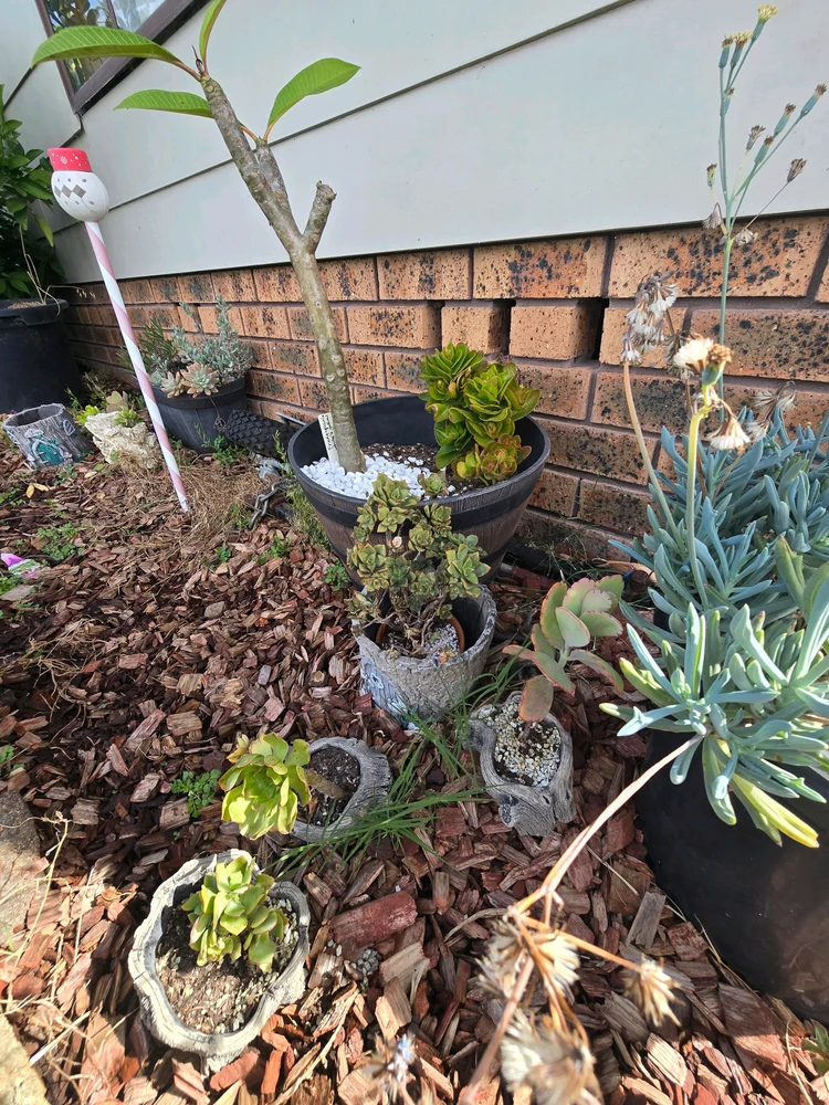Image uploaded by DeanO