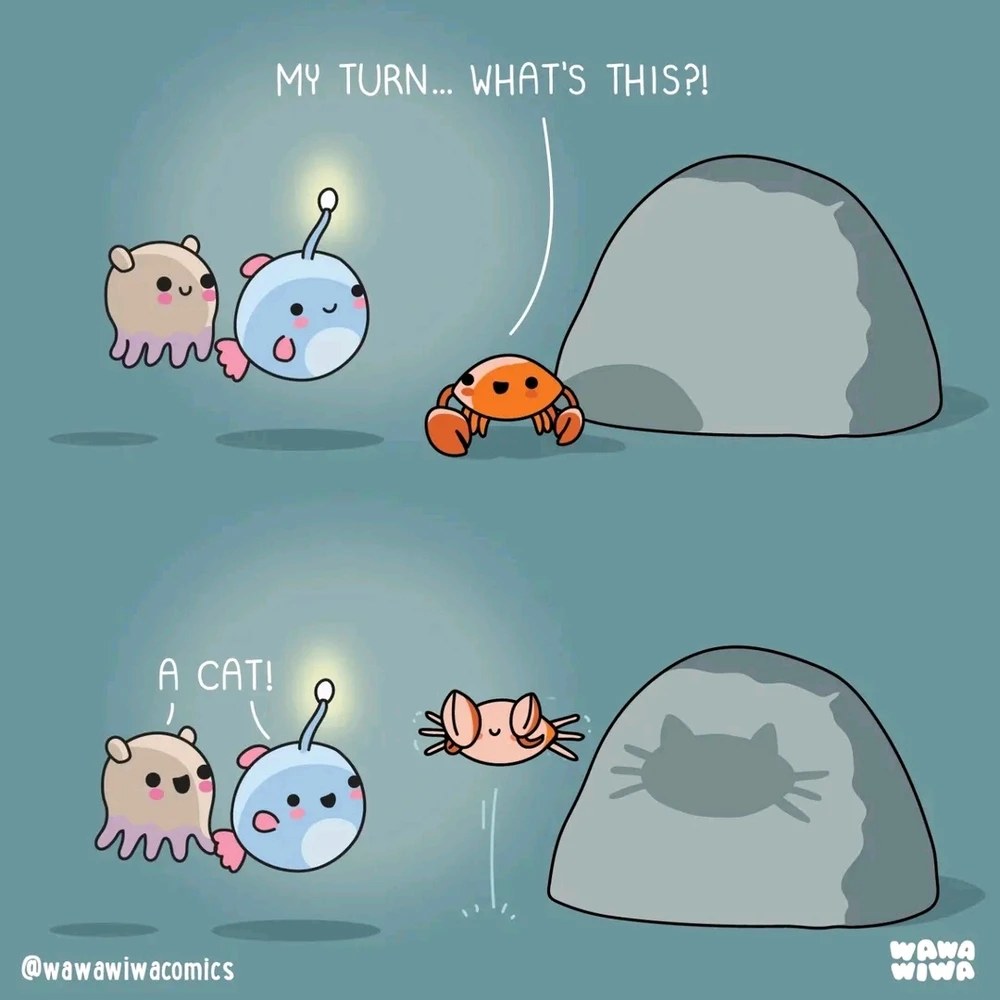 GIF hochgeladen von Alexander