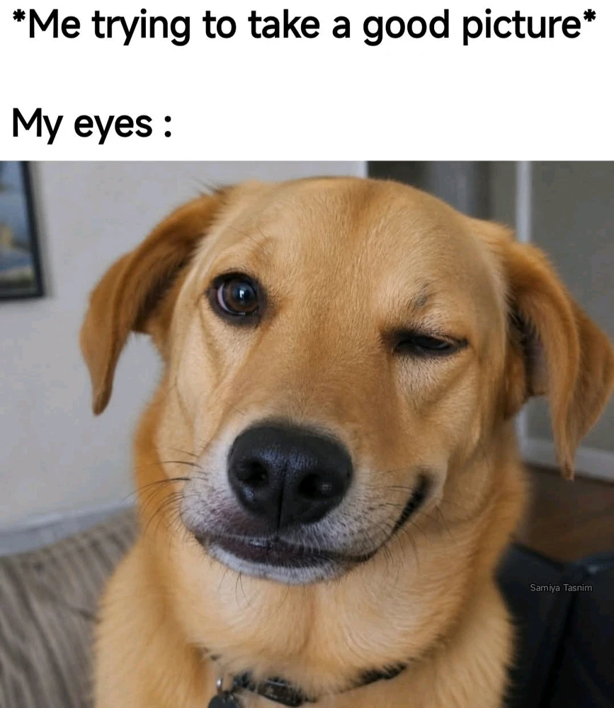 GIF uploaded by A Cash