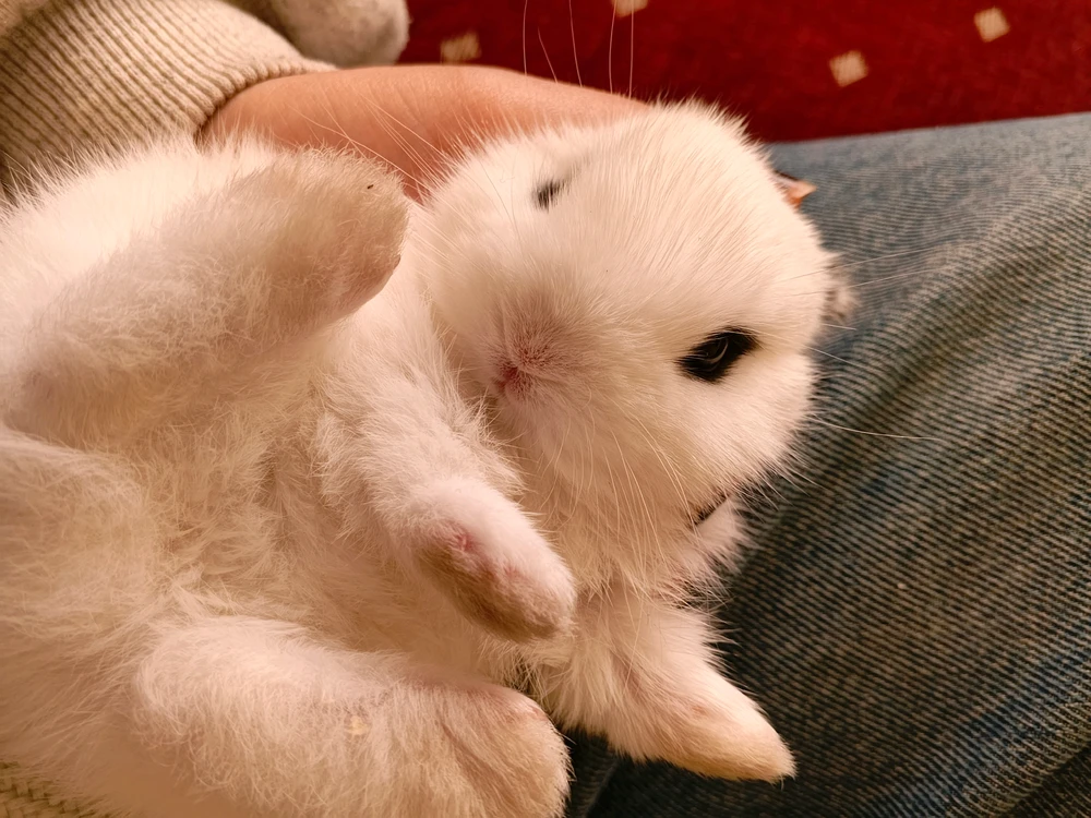 GIF uploaded by Nur
