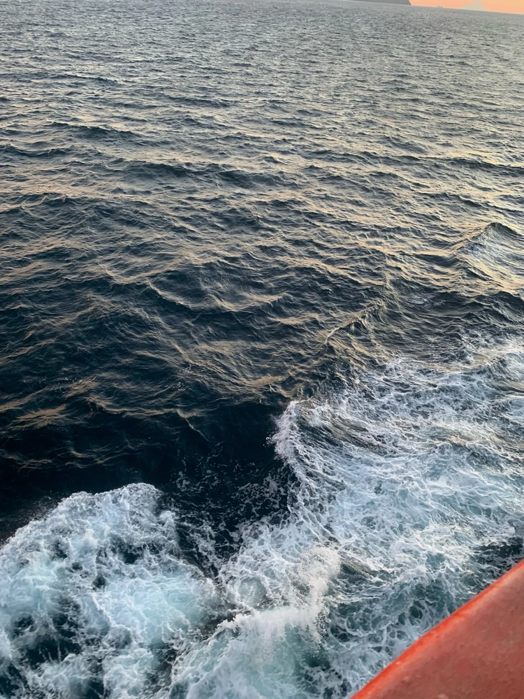 Image uploaded by Sashe