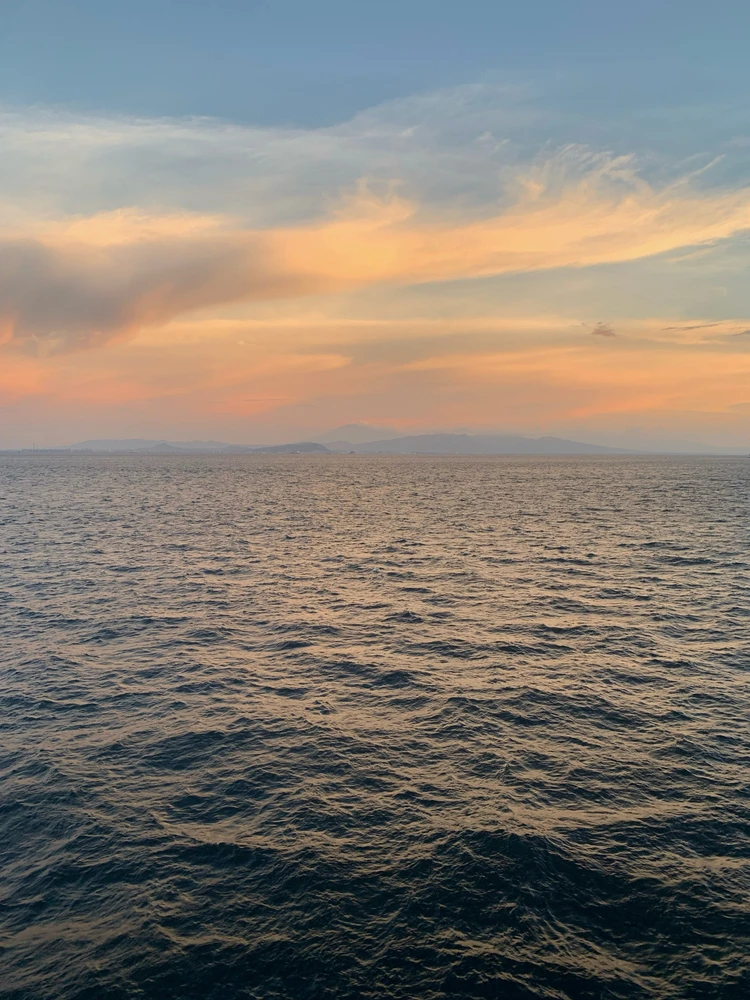 Image uploaded by Sashe