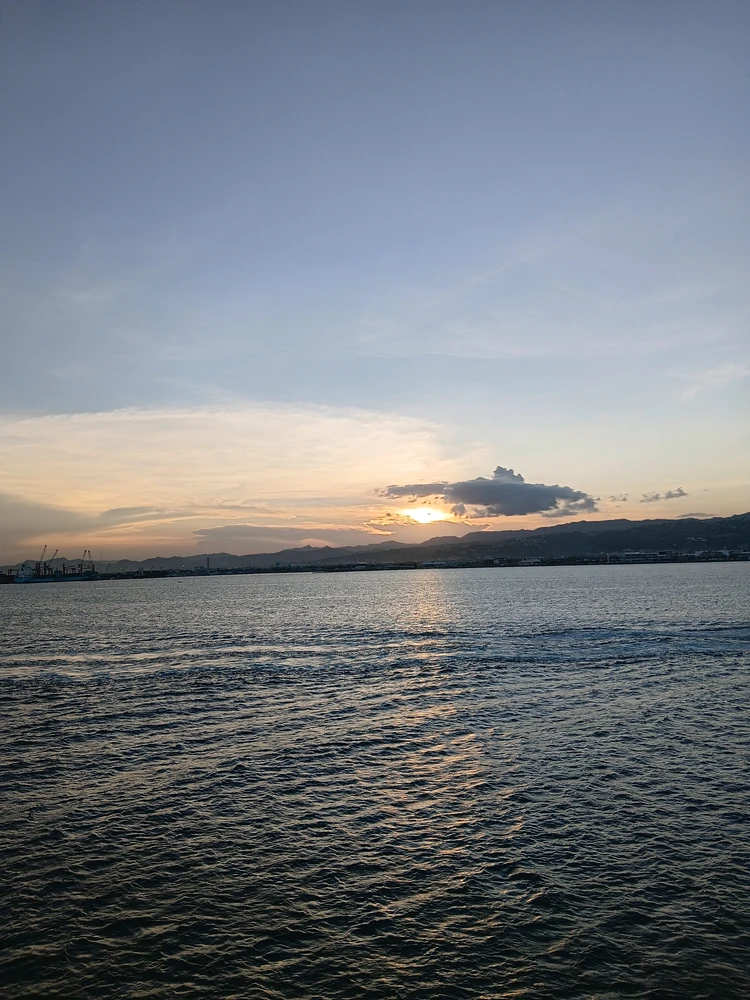 Image uploaded by Aia