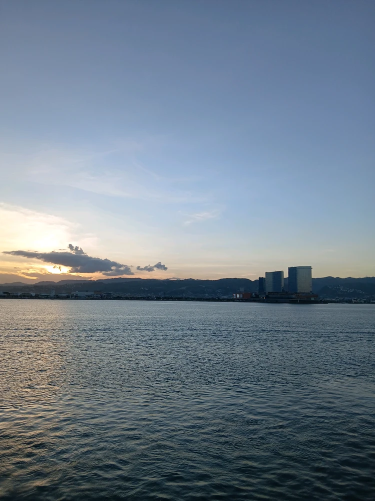 Image uploaded by Aia