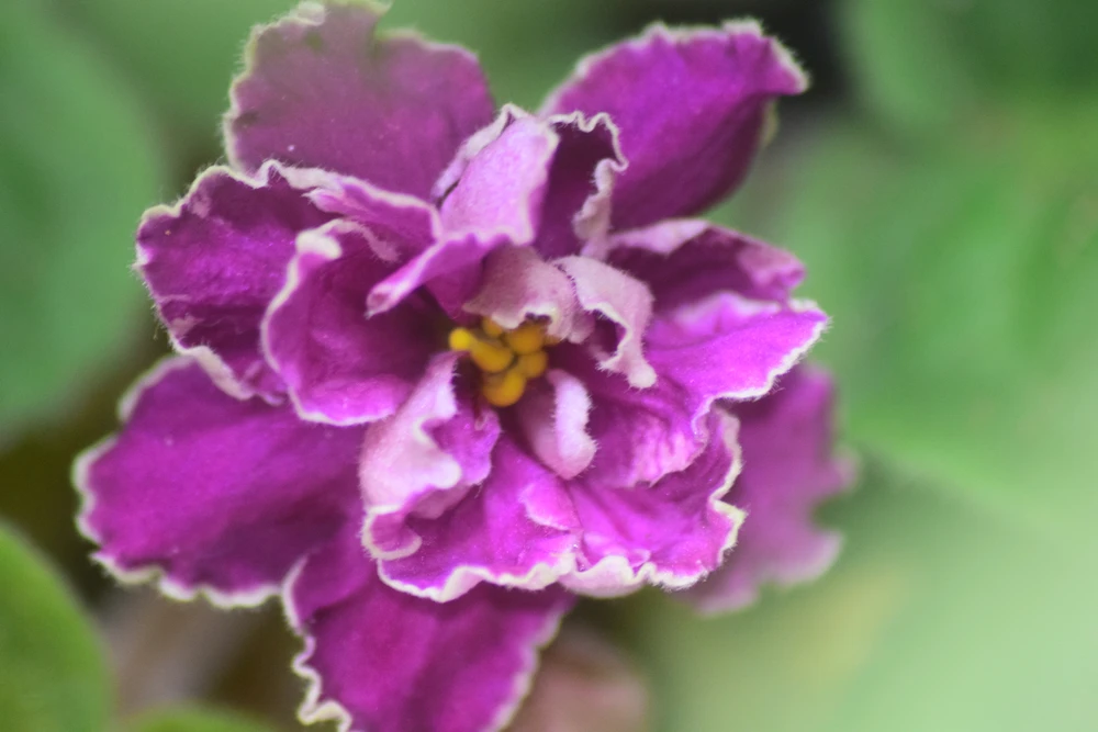 GIF uploaded by S