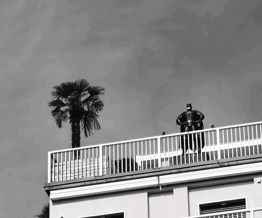 GIF caricata da Giulio