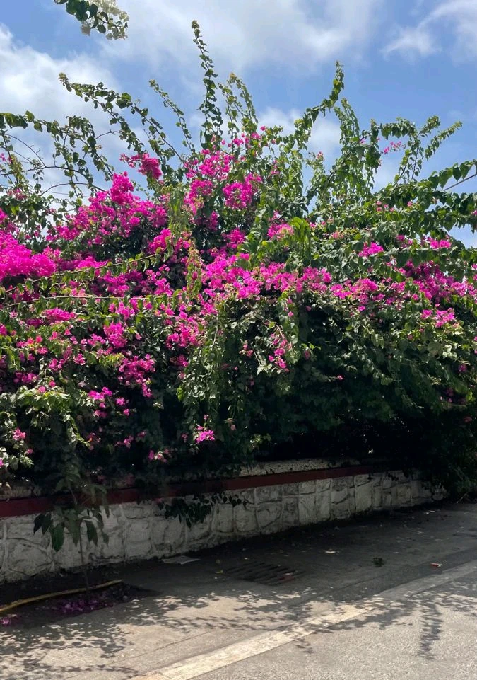 GIF uploaded by 𝑨𝒏𝒆𝒆𝒍..