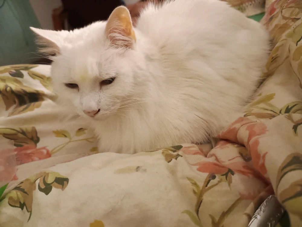 GIF uploaded by Nana(⁠◡⁠ ⁠ω⁠ ⁠◡⁠)