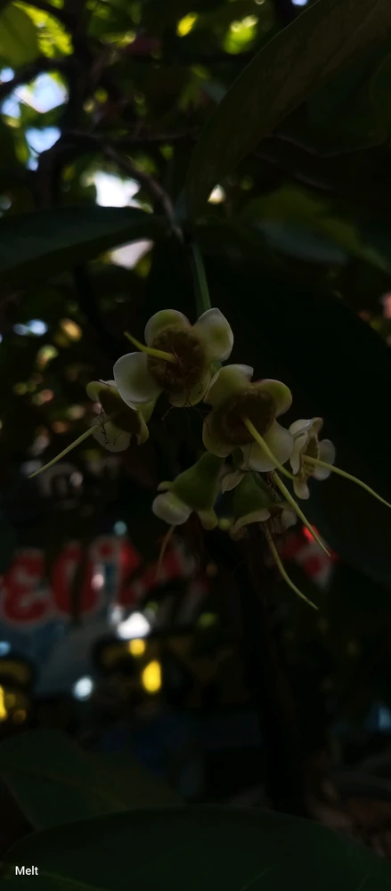 GIF uploaded by Melt