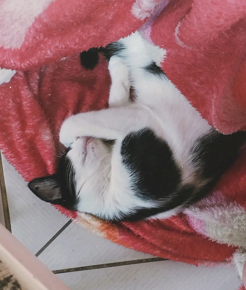 GIF enviado por Lê