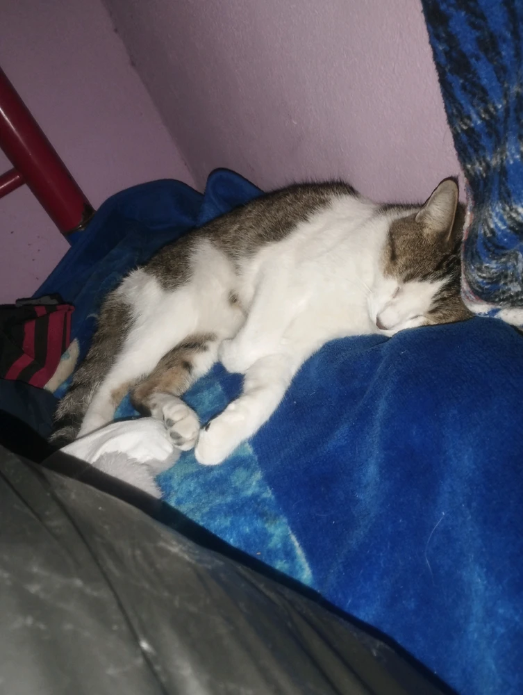 GIF uploaded by Yahir