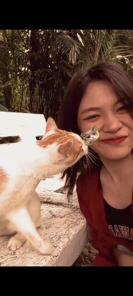 GIF uploaded by Vee