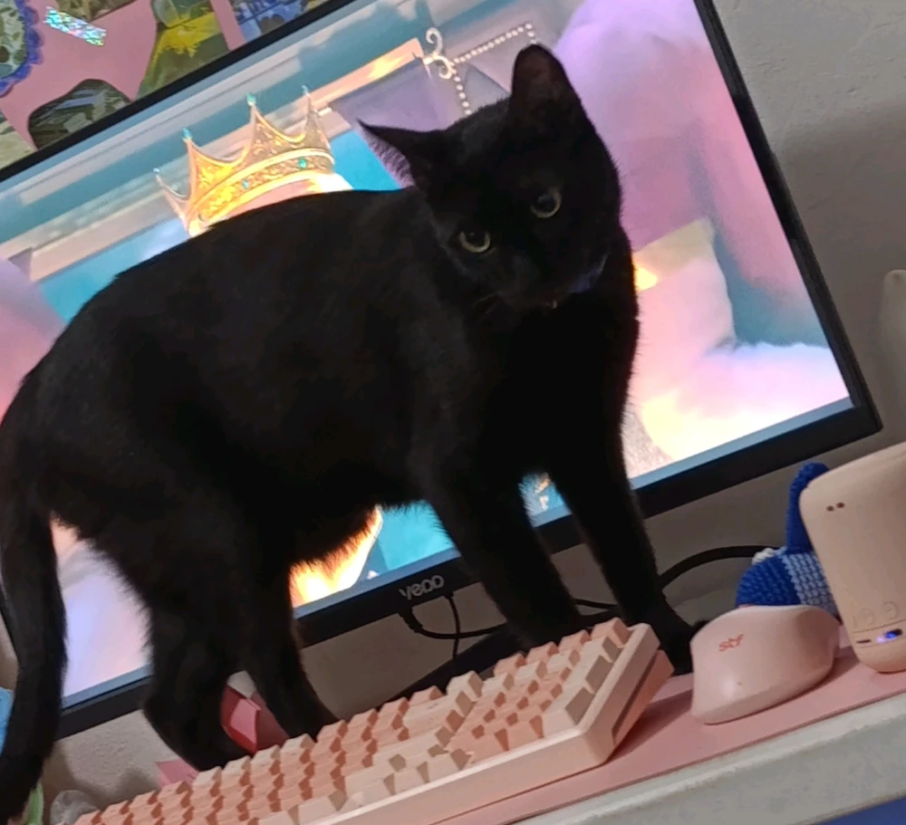 GIF uploaded by Chloe