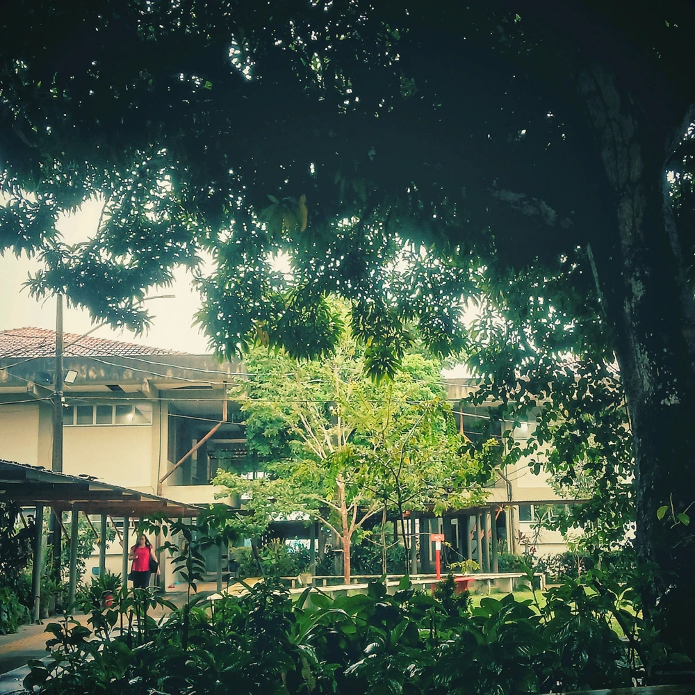 Image uploaded by Nanda