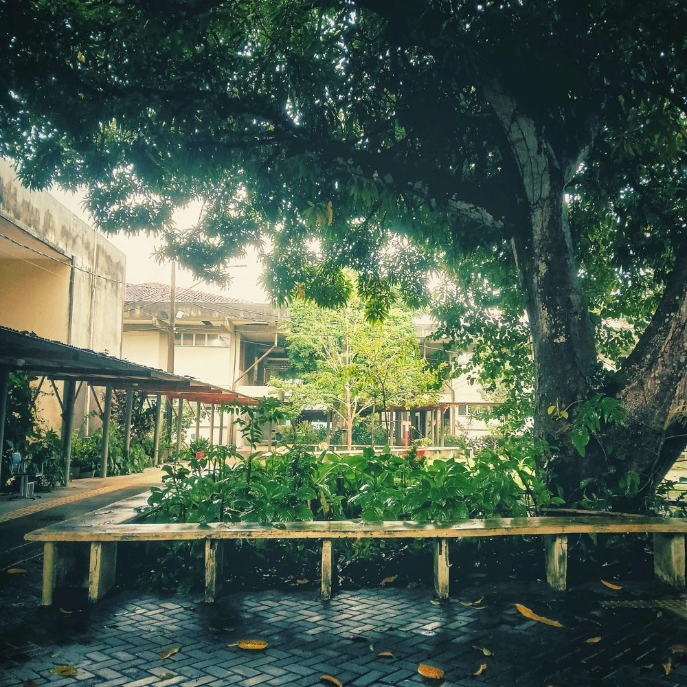 Image uploaded by Nanda