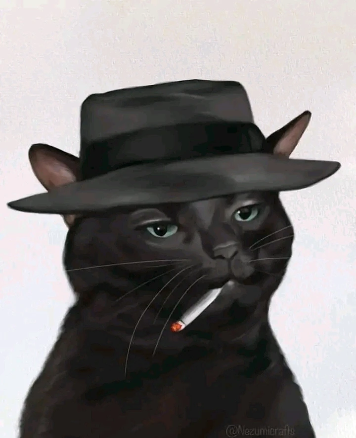 GIF uploaded by Nataly