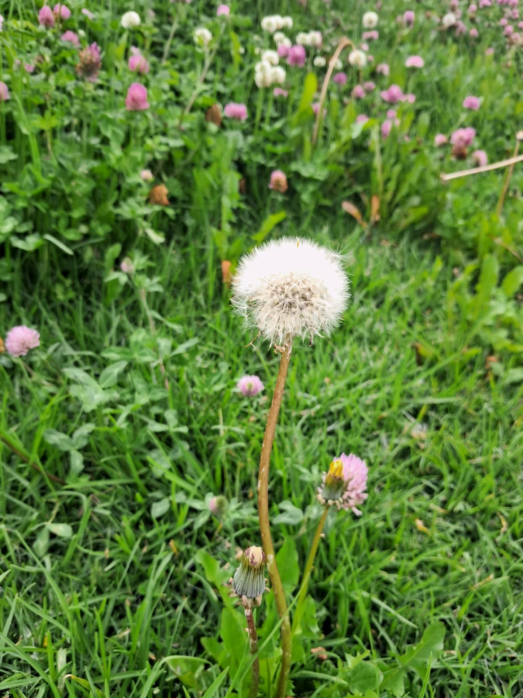 GIF uploaded by Lilith