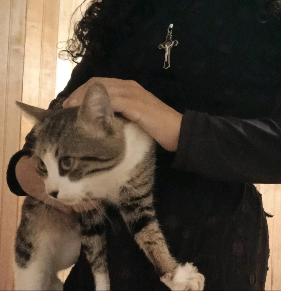 GIF uploaded by Rita