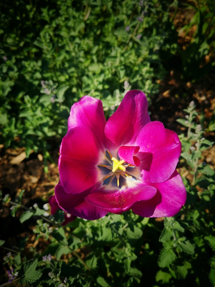 GIF uploaded by Thadeus