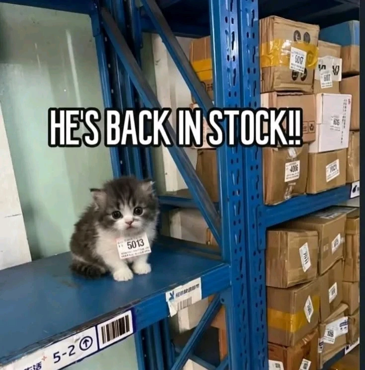 GIF uploaded by Maybe