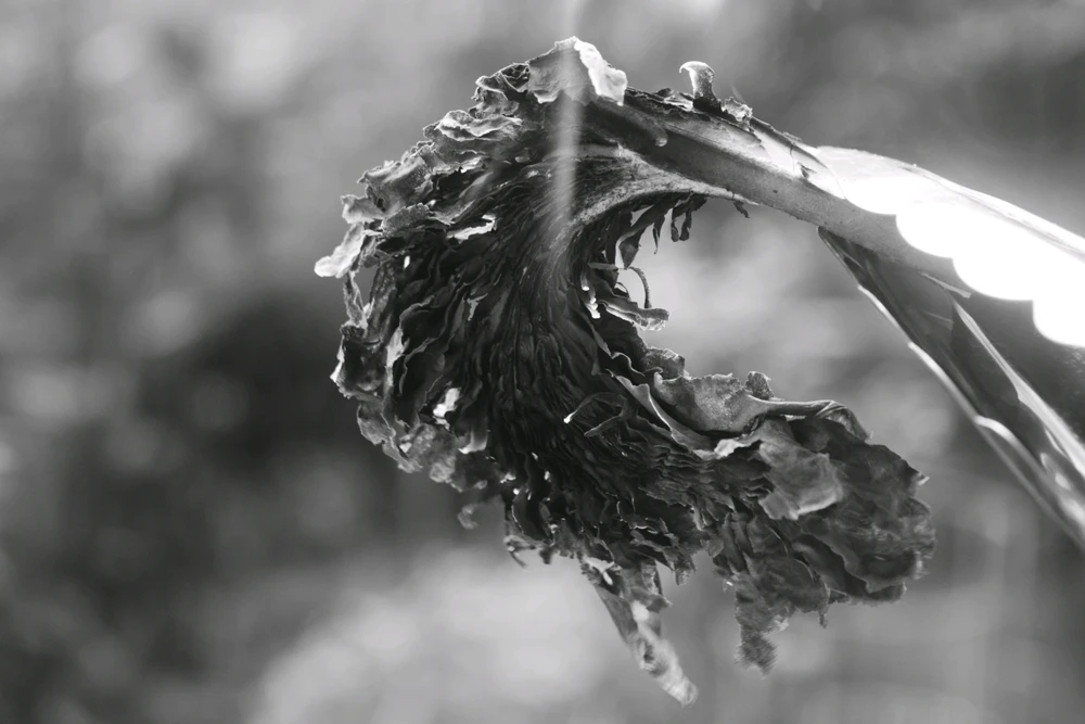 GIF uploaded by S