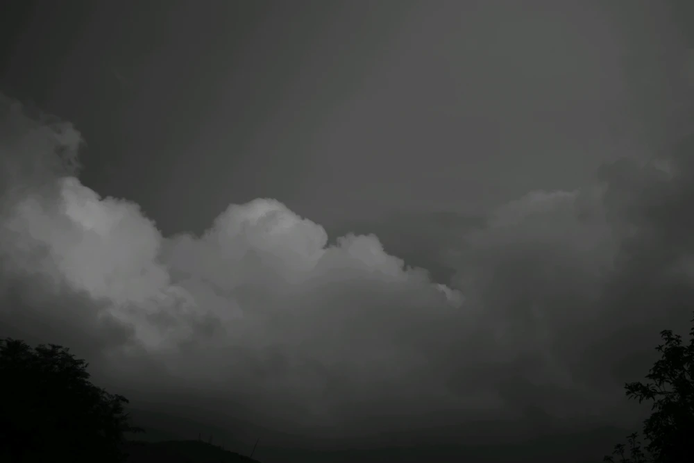 GIF uploaded by S