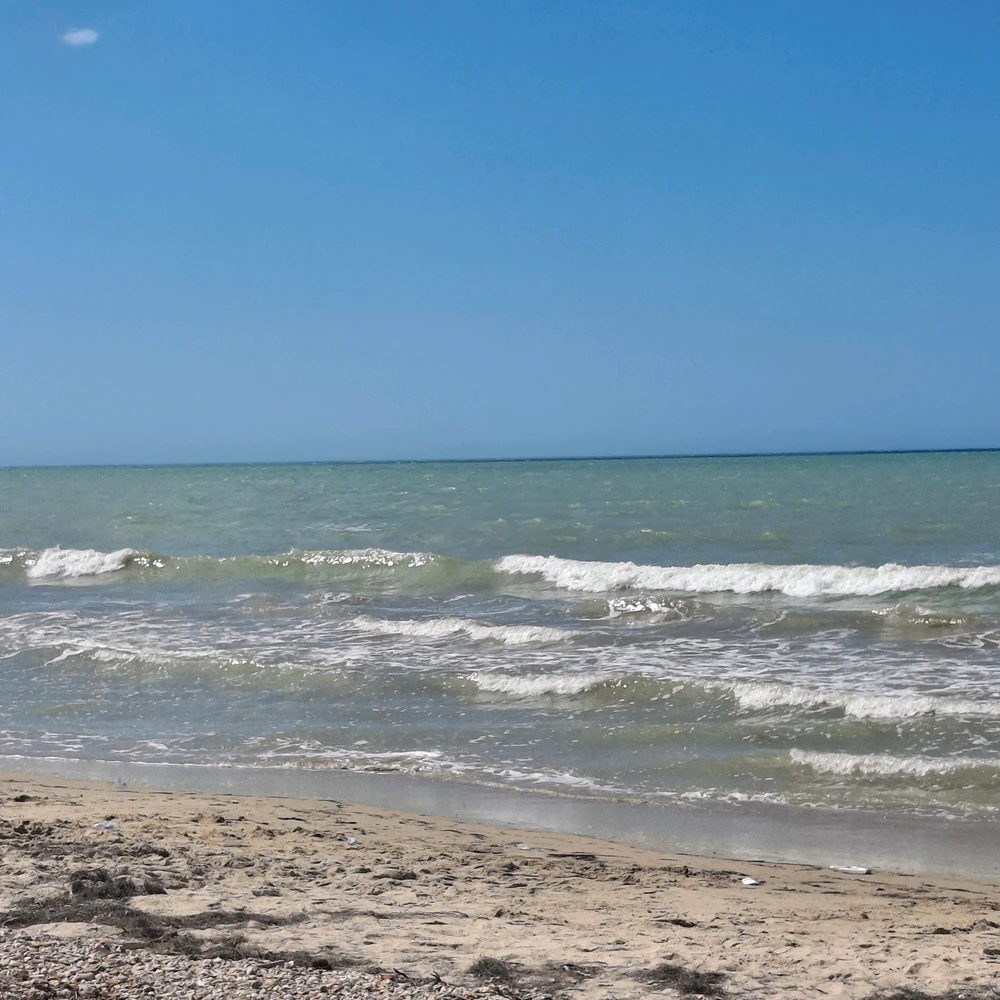 GIF uploaded by zelie