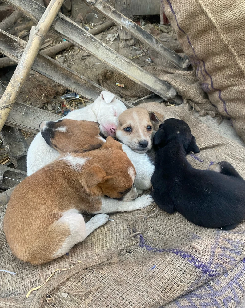 GIF uploaded by Akshansh