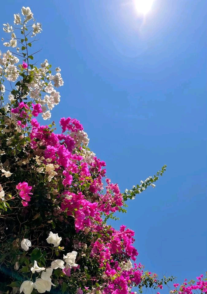 GIF uploaded by 𝑨𝒏𝒆𝒆𝒍..