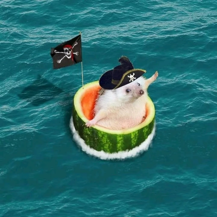 GIF uploaded by Alperen