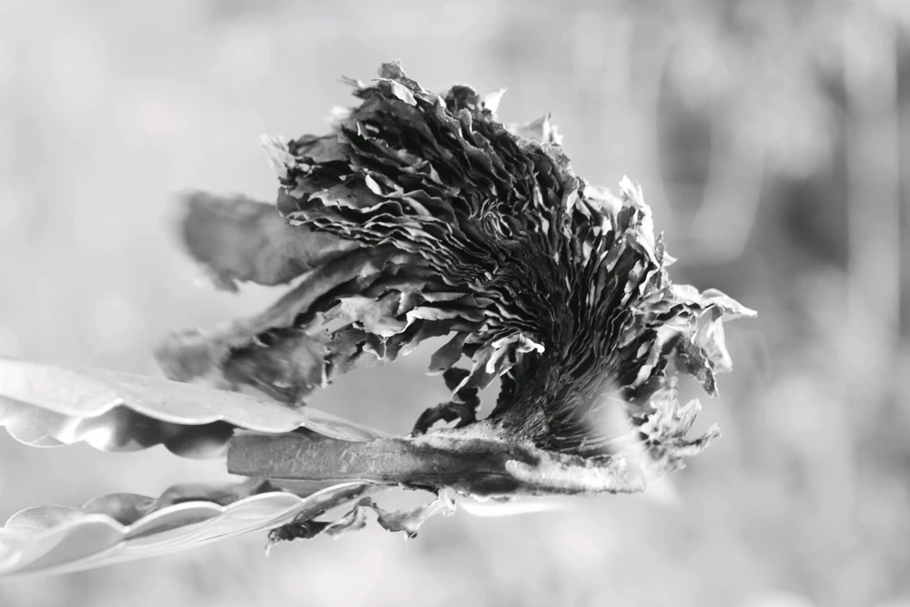 GIF uploaded by S
