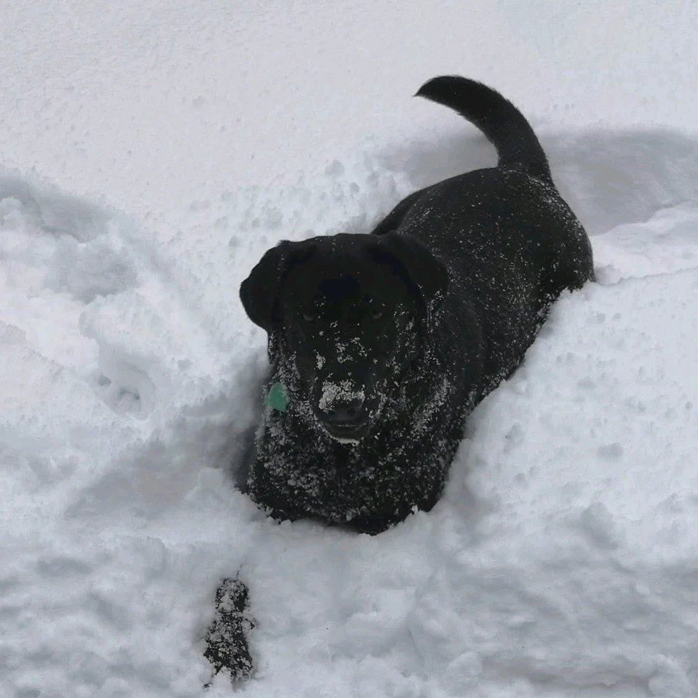 GIF uploaded by Bartosz
