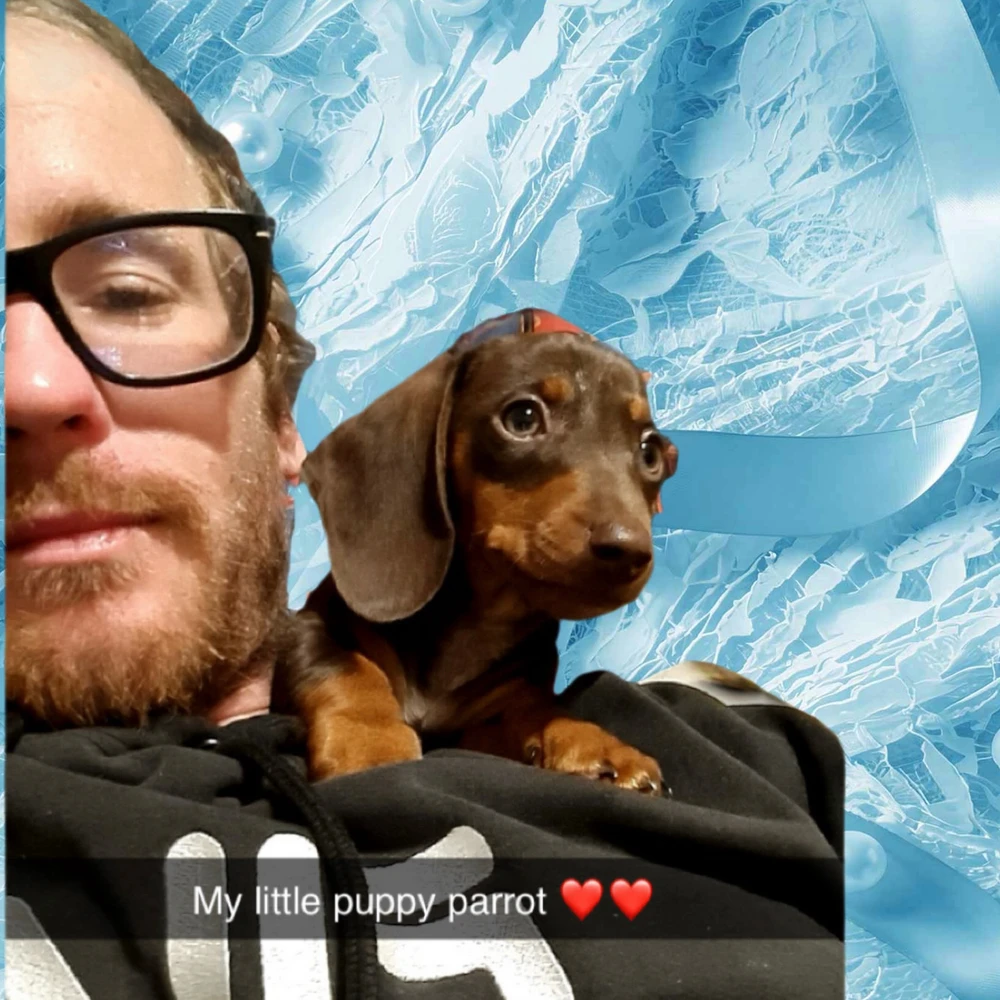 GIF uploaded by Reece