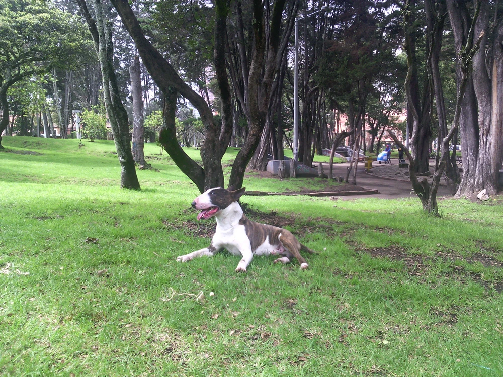 GIF subido por Frank