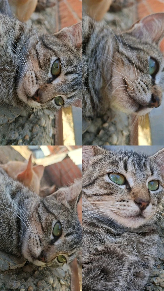 GIF enviado por W.