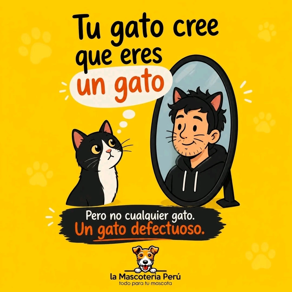 Image uploaded by Ricardo