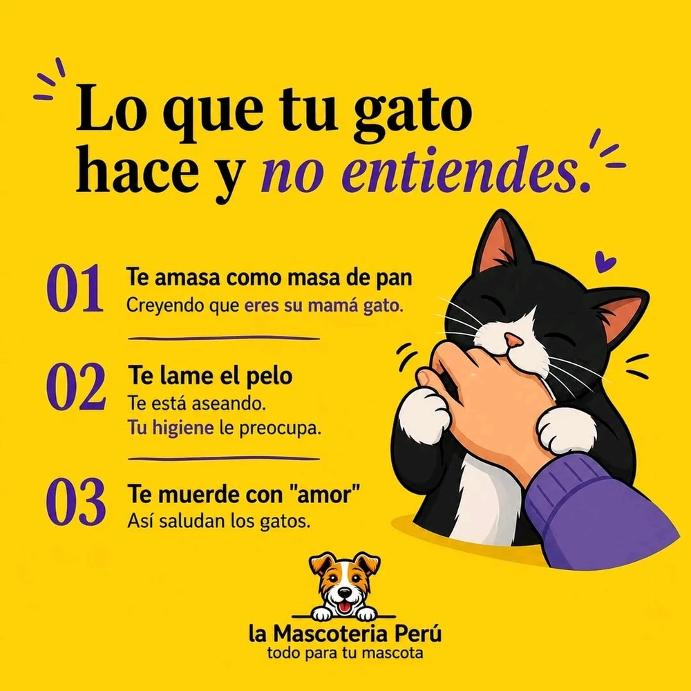 Image uploaded by Ricardo