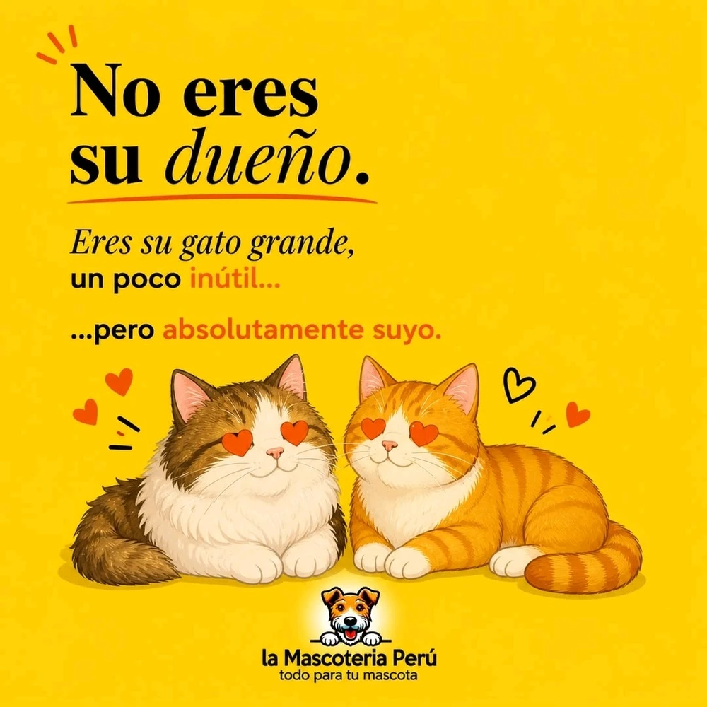 Image uploaded by Ricardo