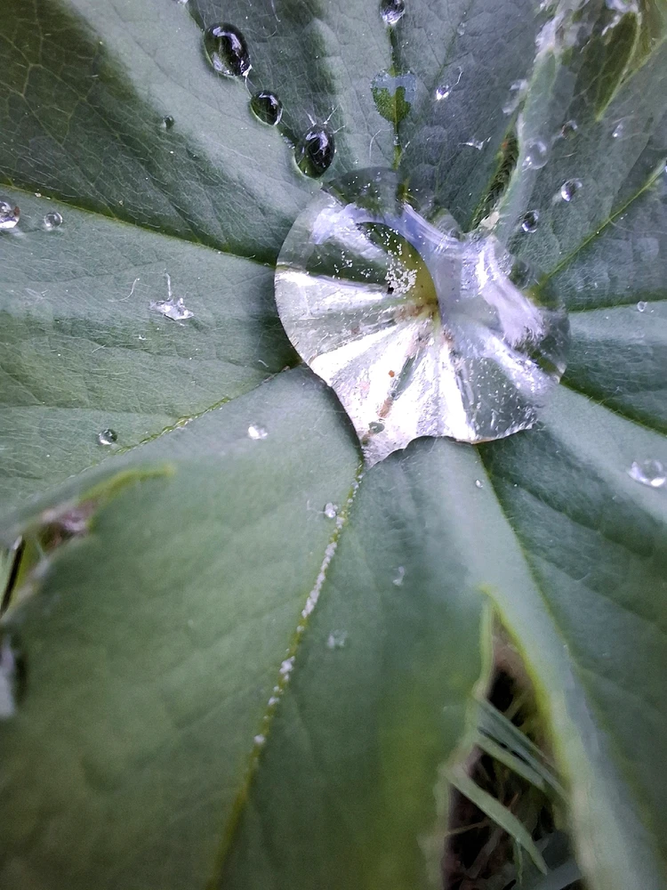 Obrázek nahrál ©️Iva 🦉