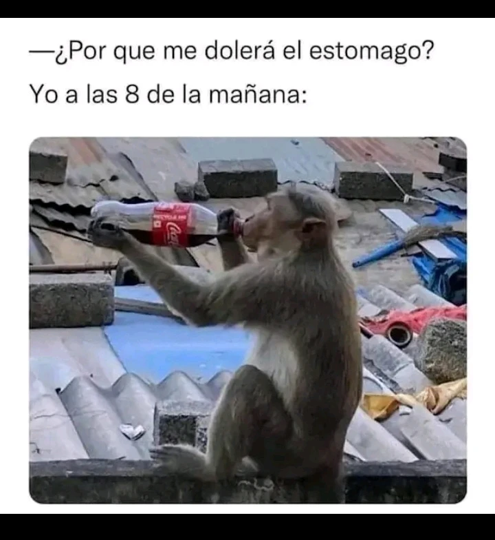 GIF subido por Adriana Andrade