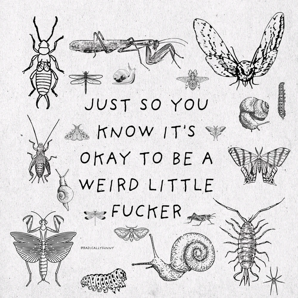 GIF uploaded by ❤ Sophia aka Mango Mami ❤️