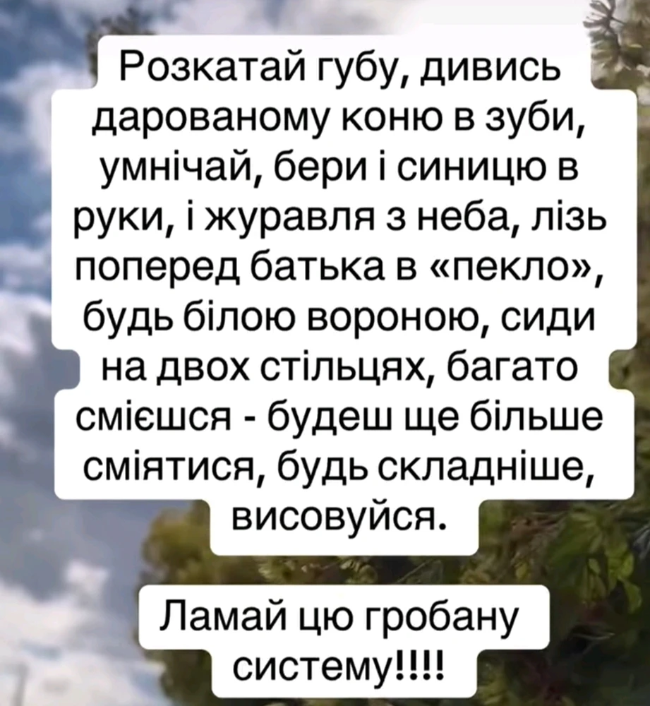 Зображення завантажив Julia