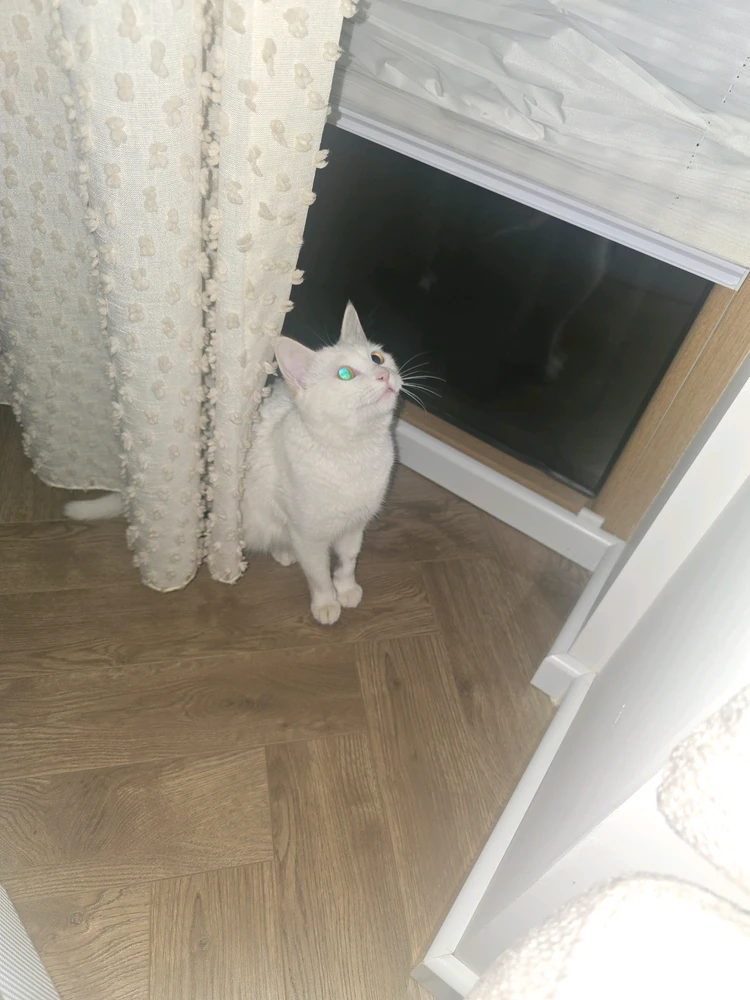 Image uploaded by Ozoda