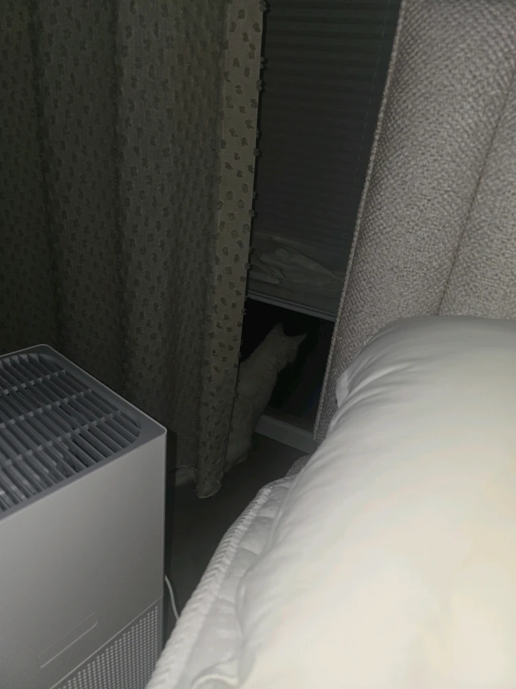 Image uploaded by Ozoda