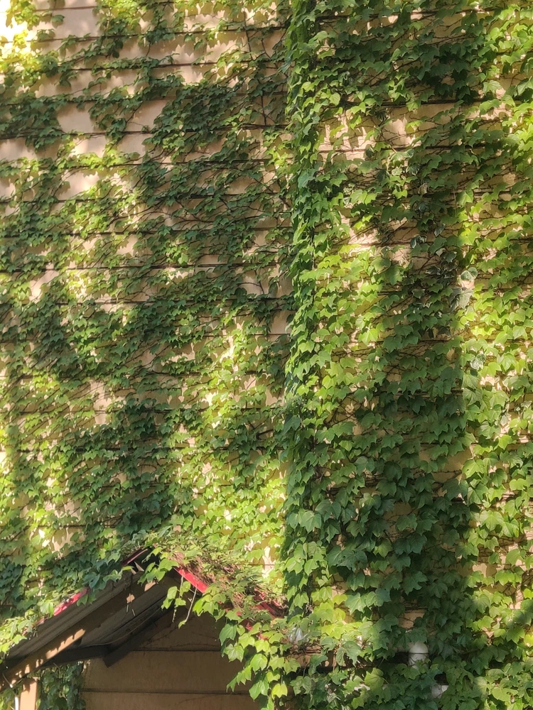 GIF uploaded by Arman