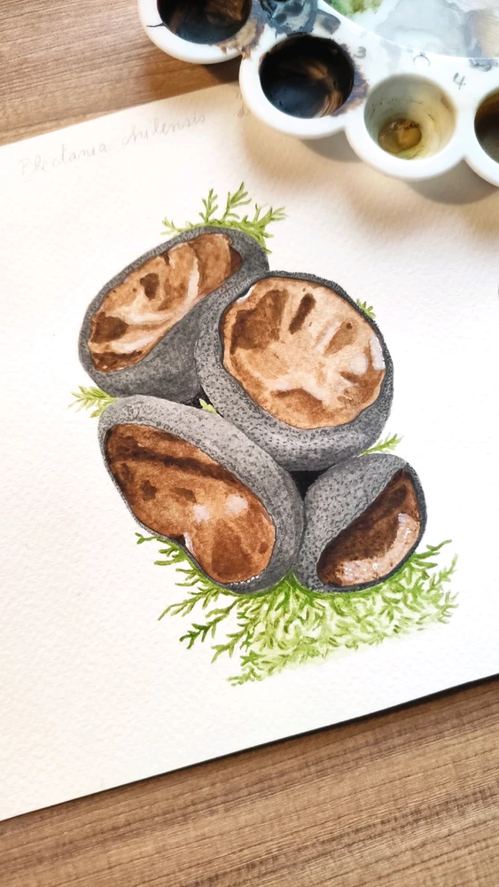 Pinina上传的GIF