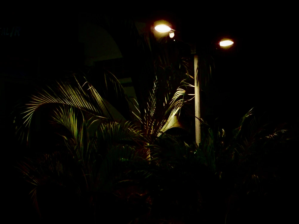 GIF uploaded by Jupi
