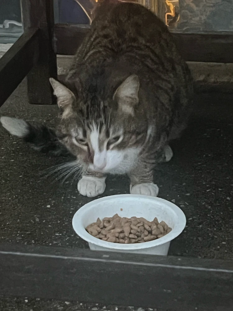 GIF uploaded by Maynard