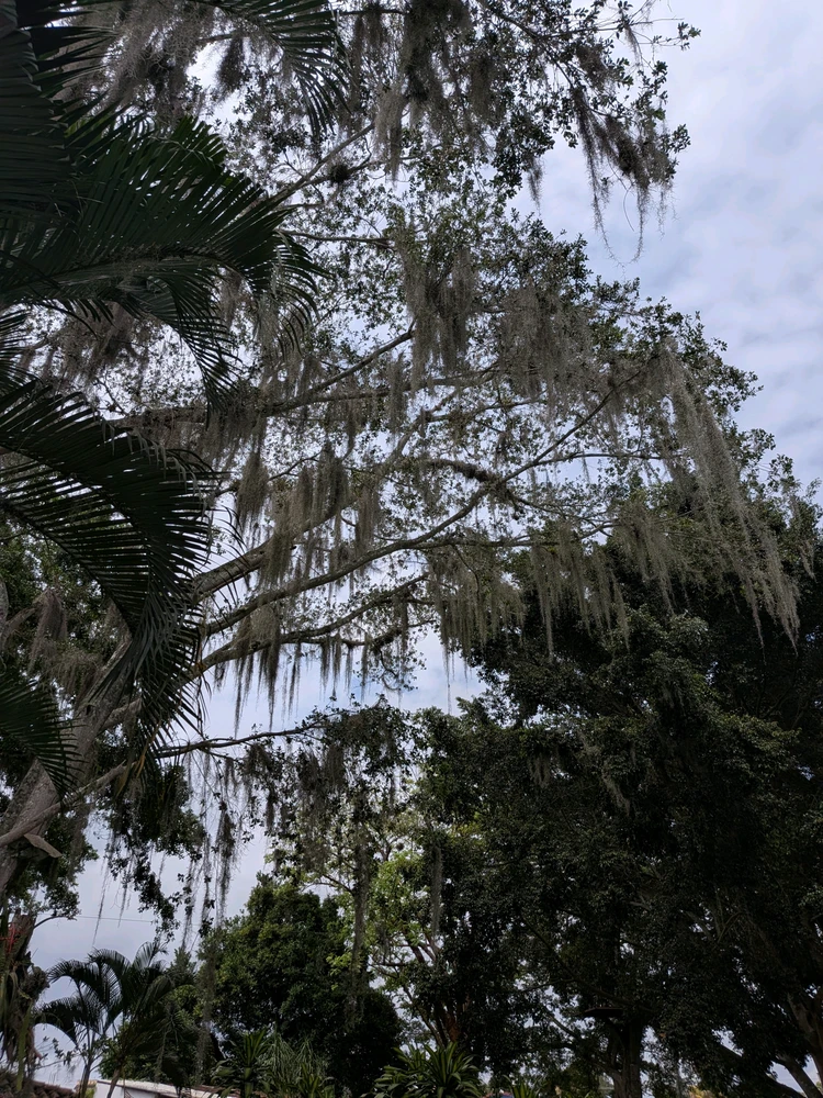 Image uploaded by Arilis